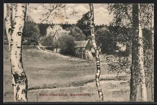 AK Klein-Olbersdorf, Gasthaus Sternmühle