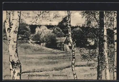 AK Klein-Olbersdorf, Gasthaus Sternmühle mit Umgebung