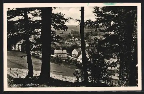 AK Grünhain /Erzg., Ortsansicht vom Waldrand aus