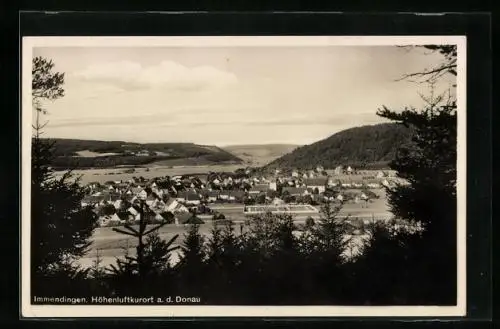 AK Immendingen /Donau, Gesamtansicht aus der Vogelschau