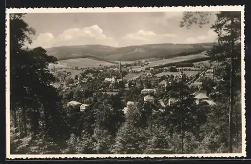 AK Markneukirchen i. V., Gesamtansicht mit Fernblick