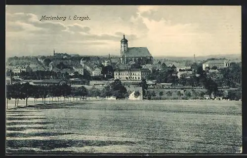 AK Marienberg /Erzgeb., Panorama mit Allee
