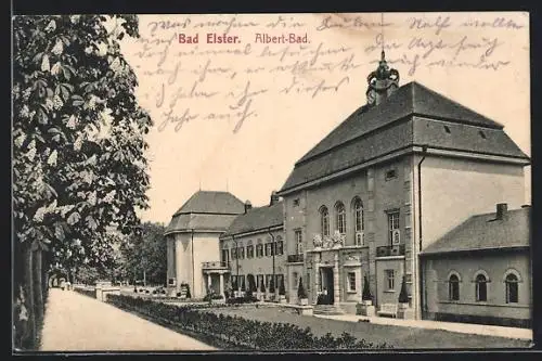 AK Bad Elster, Albert-Bad mit Promenade