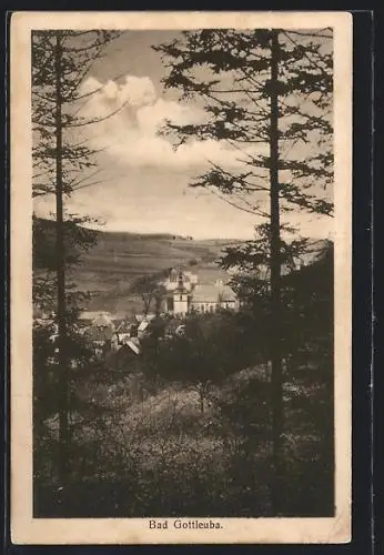 AK Bad Gottleuba, Ortsansicht von einer Anhöhe aus