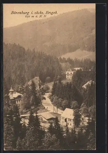 AK Bärenburg /Erzgeb., Ortsansicht mit Strasse aus der Vogelschau