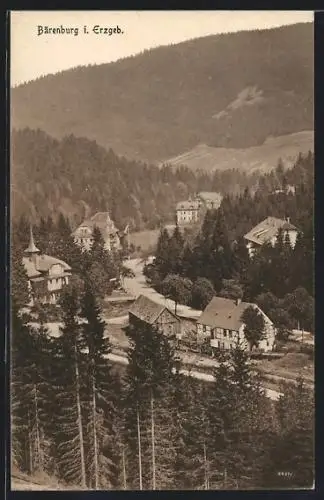 AK Bärenburg /Erzgeb., Ortsansicht aus der Vogelschau