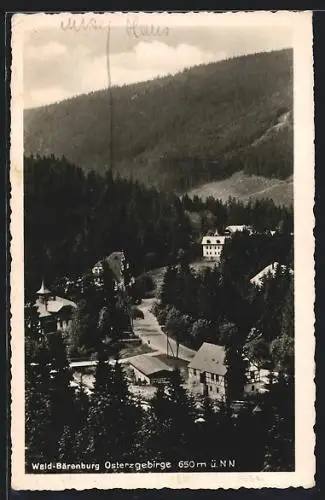 AK Wald-Bärenburg /Erzgeb., Ortsansicht von oben