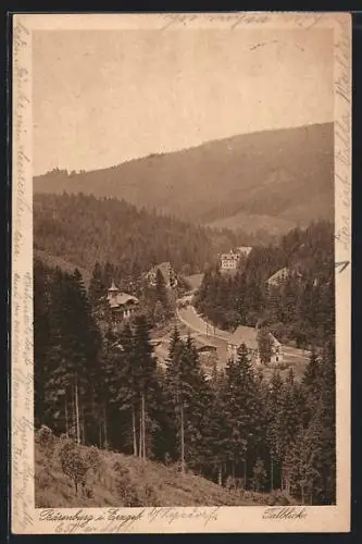 AK Bärenburg /Erzgeb., Talblick mit Tannen aus der Vogelschau