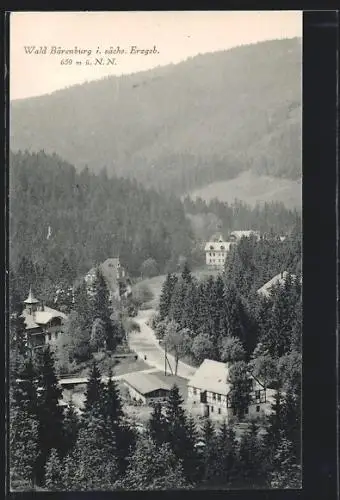 AK Wald-Bärenburg, Ortsansicht aus der Vogelschau