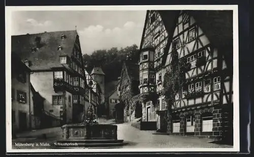 AK Miltenberg a. Main, Schnatterloch, Strassenpartie