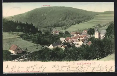 AK Bad Gottleuba i. S., Ortsansicht mit Helleberg