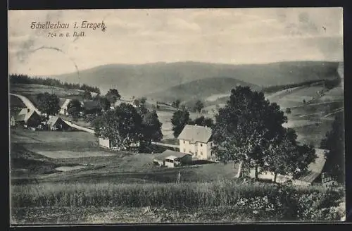 AK Schellerhau /Erzgeb., Teilansicht mit Strasse