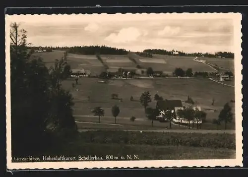 AK Schellerhau /Erzgeb., Ortsansicht mit Feldern