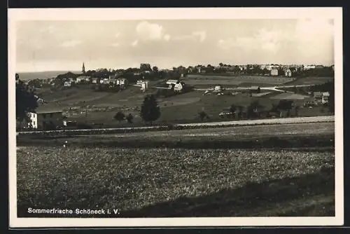 AK Schöneck i. V., Gesamtansicht mit Landstrasse