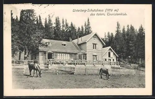 AK Unterberg-Schutzhaus, Pferde auf der Koppel davor