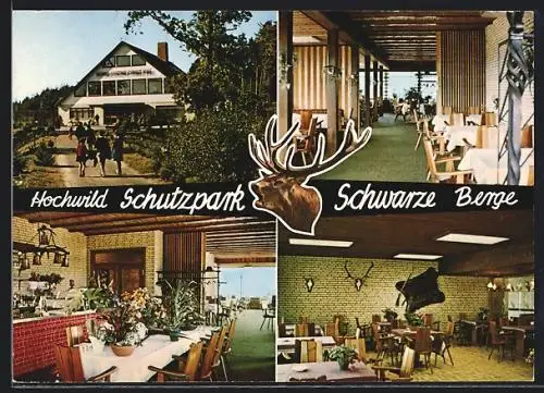 AK Vahrendorf, Hochwild Schutzpark, Schwarze Berge, Heinz Wagner