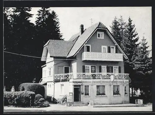 AK Freudenstadt-Zwieselberg, Pension Tannenhof, Inh. W. Demmler