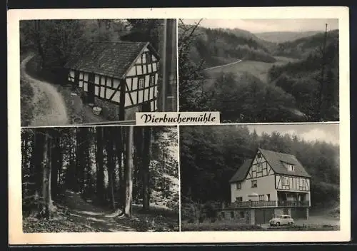 AK Vierbuchermühle, Pension Haus Waldfrieden, Landschaftsbilder