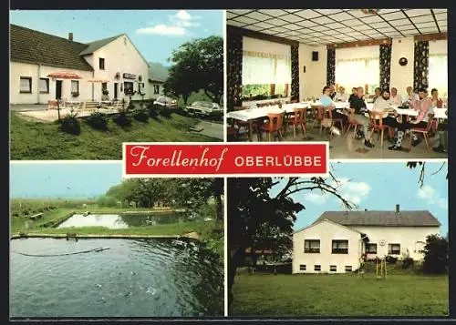 AK Oberlübbe, Gasthaus und Pension Forellenhof, Innenansicht mit Gästen, Fischteich