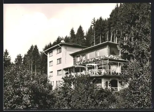 AK Ehrlich /Westerwald, Hotel Sollmann-Schürg vor einem Waldstück