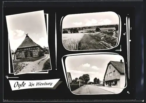 AK Oyle /Nienburg, Altes strohgedecktes Fachwerkhaus, Blick über Felder, Strassenpartie