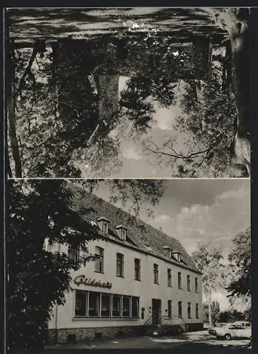 AK Salzgitter-Bad, Hotel-Restaurant Gildehaus, Inh. Fritz Schlüter, Vöppstedter Tor 18, Vöppstedter Ruine