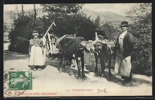 AK Bauern aus der Auvergne mit ihrem Ochsengespann