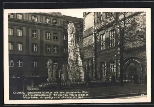 AK Chemnitz, Städtisches Museum mit dem versteinerten Wald von Araukarienstämmen