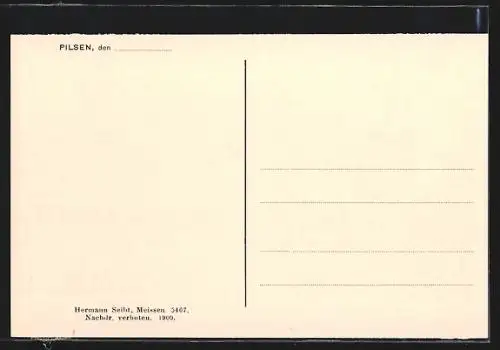 AK Pilsen, Hotel Waldek