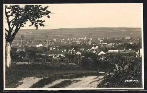AK Stankov, Panorama mit Baum