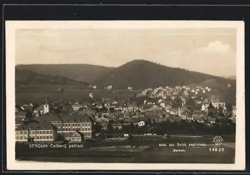 AK Beroun, Celkový pohled