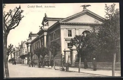 AK Cesky Brod. Sokolovna, Strassenleben