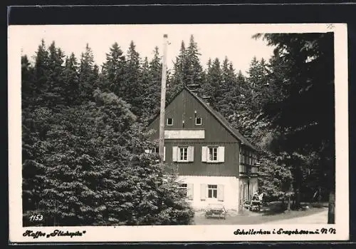 AK Schellerhau / Erzgeb., Kaffee und Fremdenheim Glückspilz