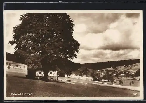 AK Rehefeld / Erzgeb., Ortsansicht