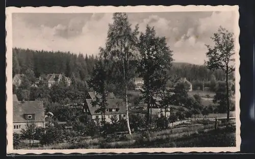 AK Berggiesshübel, Teilansicht