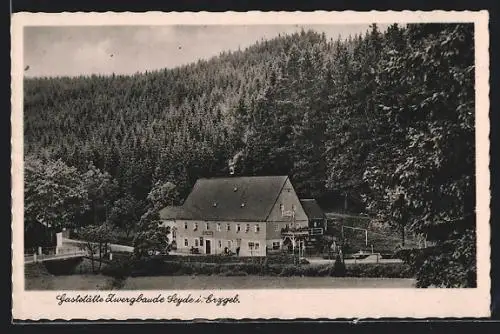 AK Seyde / Erzgeb., Gaststätte Zwergbaude