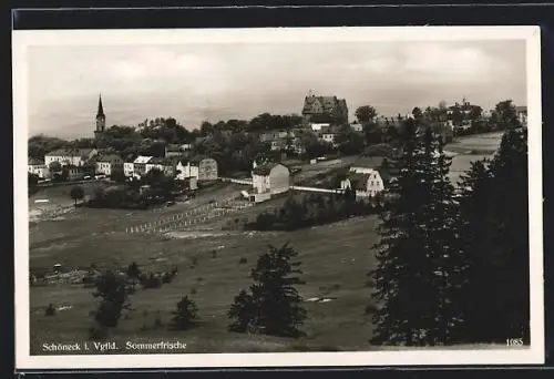 AK Schöneck i. Vgtld., Blick vom Waldrand auf die die kleine Ortschaft und die Kirche