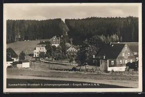 AK Steinbach b. Johanngeorgenstadt, Teilansicht gen Wald