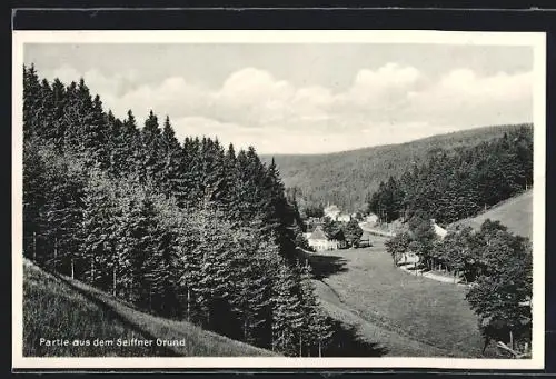 AK Seiffen / Erzgeb., Seiffner Grund