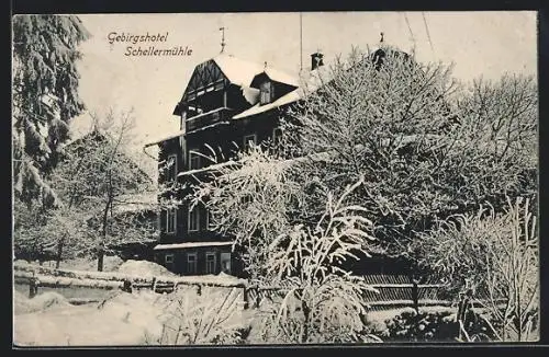 AK Altenberg / Erzgeb., Gebirgshotel Schellermühle