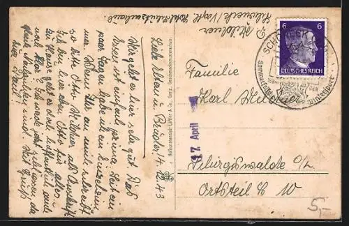 AK Schöneck i. V., Albertplatz, Unterer Markt, Friedrich August-Stein