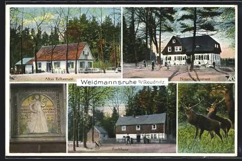 AK Werdau / Sa., Altes und Neues Restaurant Weidmannsruhe, Forsthaus