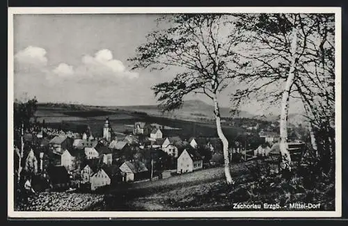 AK Zschorlau / Erzgb., Blick in das Mittel-Dorf