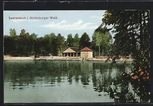 AK Grillenburg, Seerenteich im Grillenburger Wald, Uferpartie vom Wasser aus gesehen