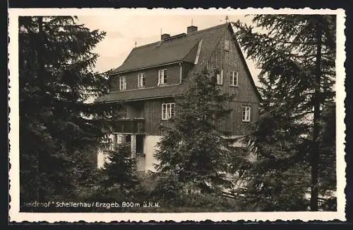 AK Schellerhau / Erzgeb., Hotel-Pension Heidehof