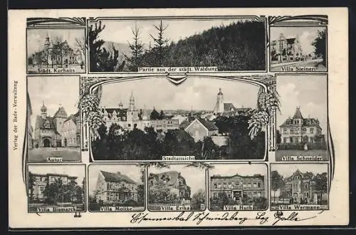 AK Bad Schmiedeberg, Stadtansicht, Villa Erika, Villa Moltke, Villa Wermann, Villa Schneider, Städt. Kurhaus