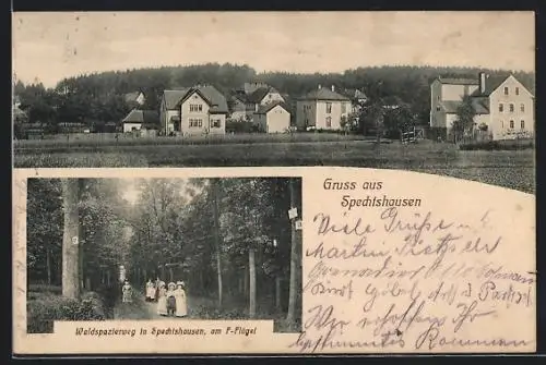 AK Spechtshausen, Teilansicht des Ortes, Waldspazierweg mit flanierenden Damen