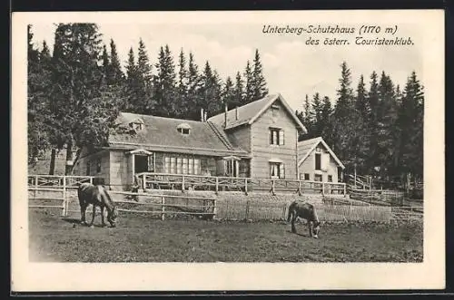 AK Unterberg-Schutzhaus, Motiv mit Pferden