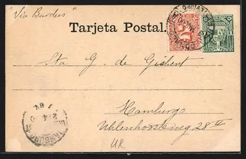 AK Montévidéo, Manicomio