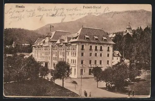 AK Sinaia, Partie am Palast-Hotel